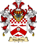 Irish Family Coat of Arms (v.25a) MacBride