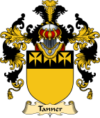 Irish Family Coat of Arms (v.25a) Tanner