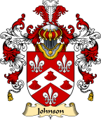 Irish Family Coat of Arms (v.25a) Johnson