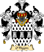 Irish Family Coat of Arms (v.25a) O'Higgin