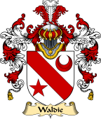Irish Family Coat of Arms (v.25a) Waddy or Waldie
