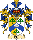 Irish Family Coat of Arms (v.25a) Pike or Pyke