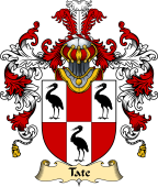 Irish Family Coat of Arms (v.25a) Tate