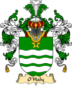 Irish Family Coat of Arms (v.25a) O'Haly or Healy