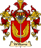 Irish Family Coat of Arms (v.25a) Williams