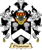 Irish Family Coat of Arms (v.25a) O'Canavan