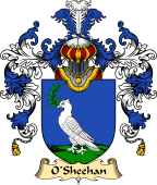 Irish Family Coat of Arms (v.25a) O'Sheehan