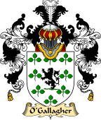 Irish Family Coat of Arms (v.25a) O'Gallagher or Goligher