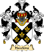 Irish Family Coat of Arms (v.25a) Hawkins or Haughan