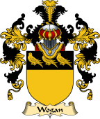 Irish Family Coat of Arms (v.25a) Wogan