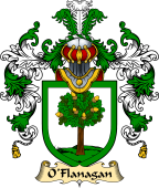 Irish Family Coat of Arms (v.25a) O'Flanagan