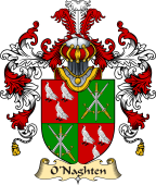 Irish Family Coat of Arms (v.25a) O'Naghten