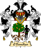 Irish Family Coat of Arms (v.25a) O'Donellan or Donlon